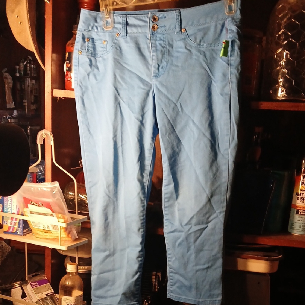 Chic - CATO Premium Light Blue Cropped Pants- Size 12- Contemporary